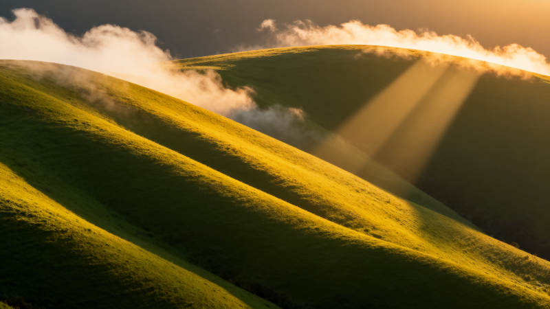 晨光穿云 绿野如金浪图片