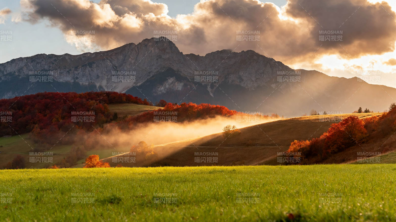 秋山晨雾 金辉染层林图片