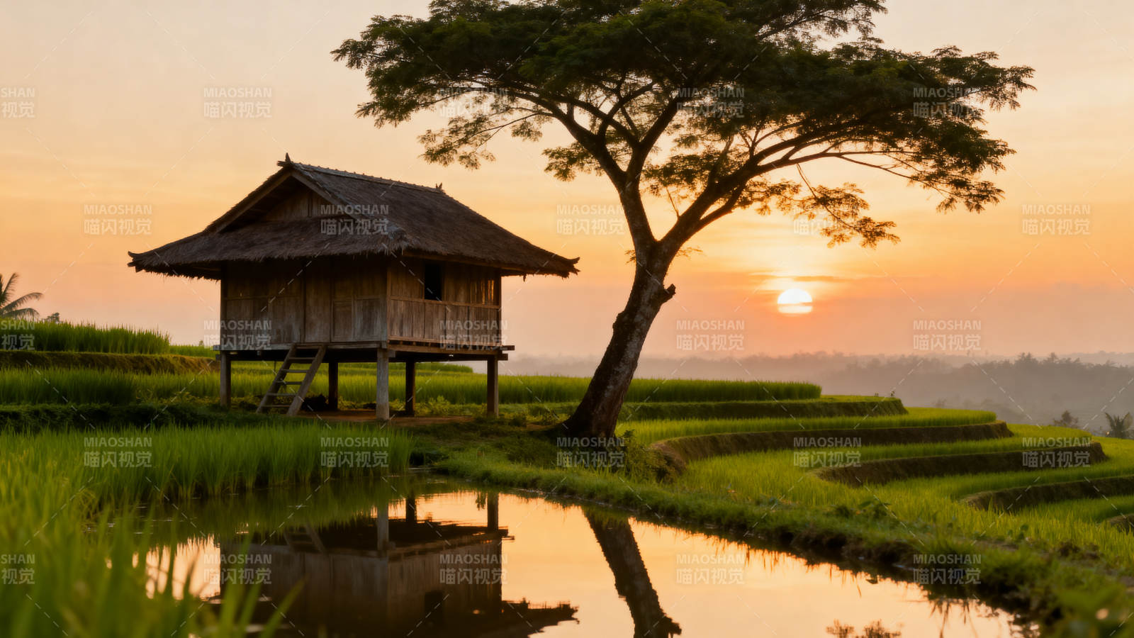 夕阳下的梯田小屋图片