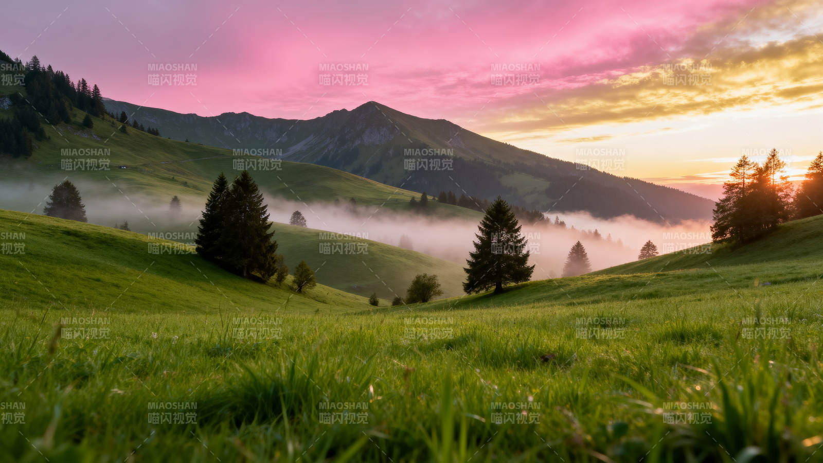 晨雾山峦 粉霞映绿野图片
