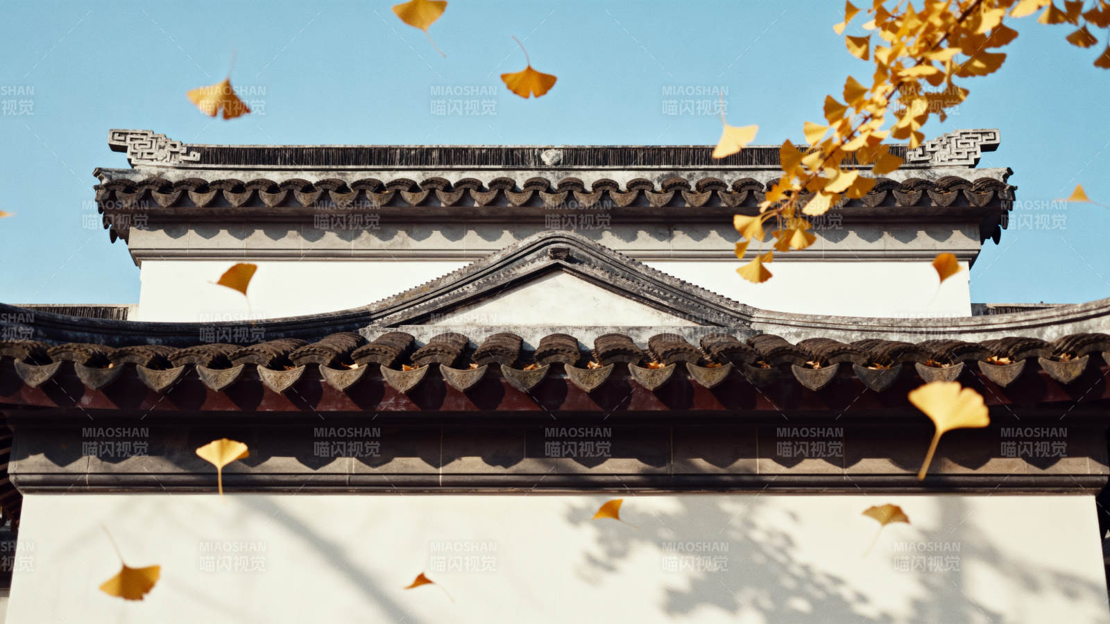 秋叶飘过古墙头图片