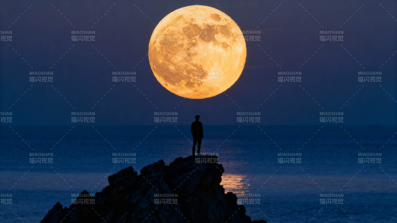 月夜孤影立礁石图片