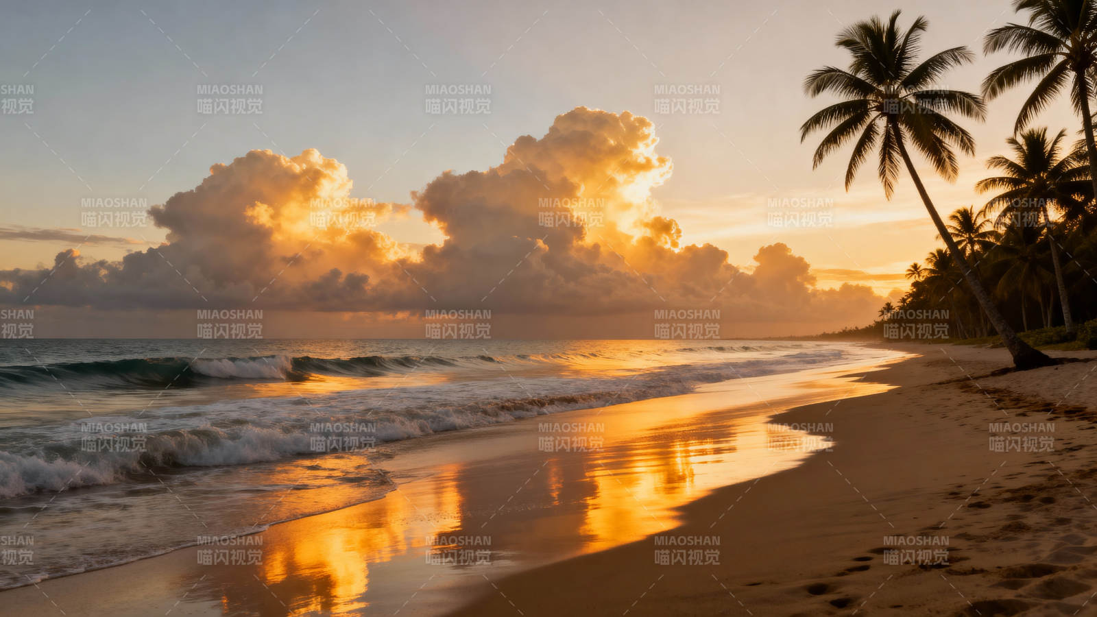 夕阳椰影 金浪吻沙滩图片