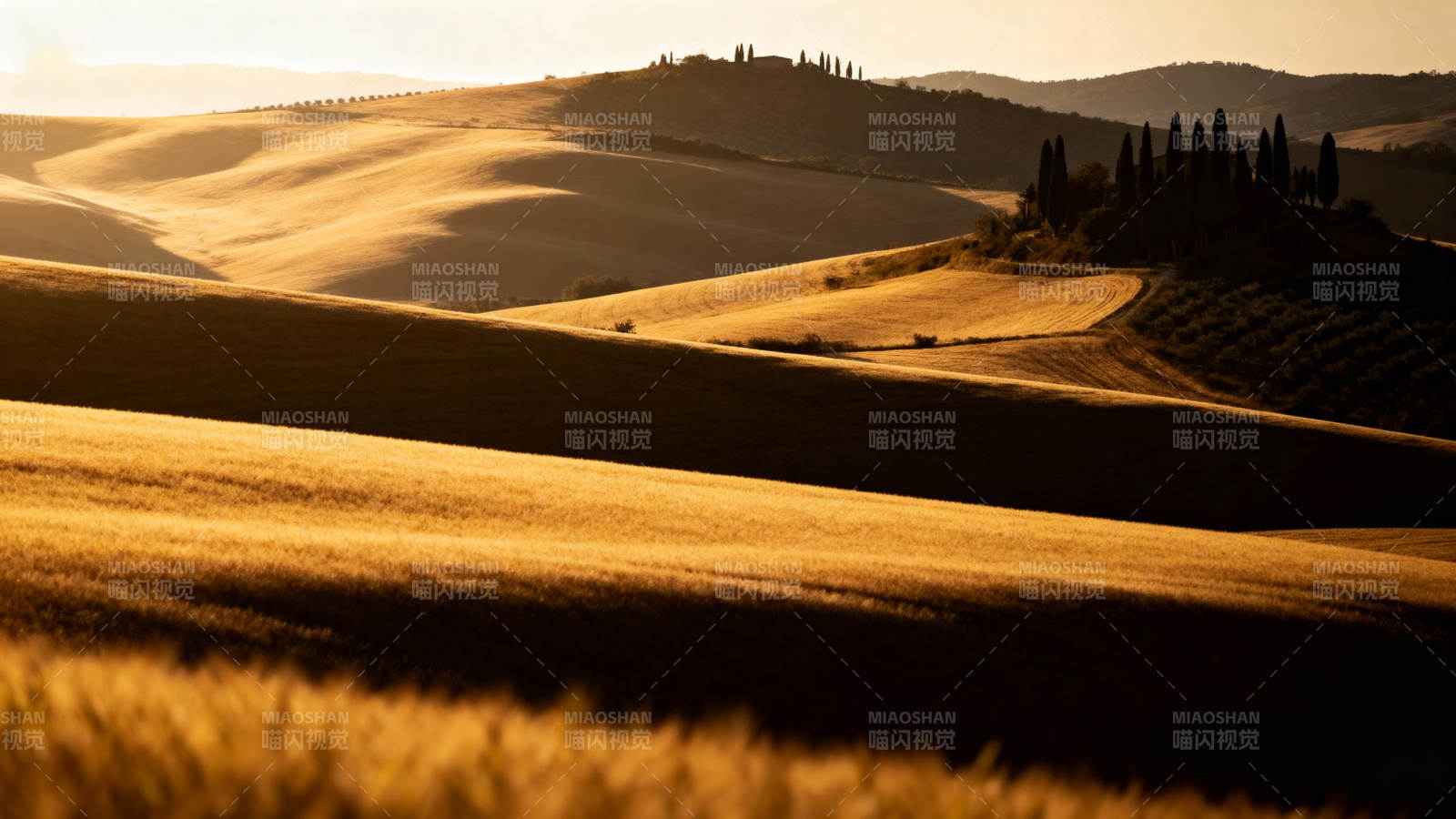 金色丘陵 夕阳如诗图片