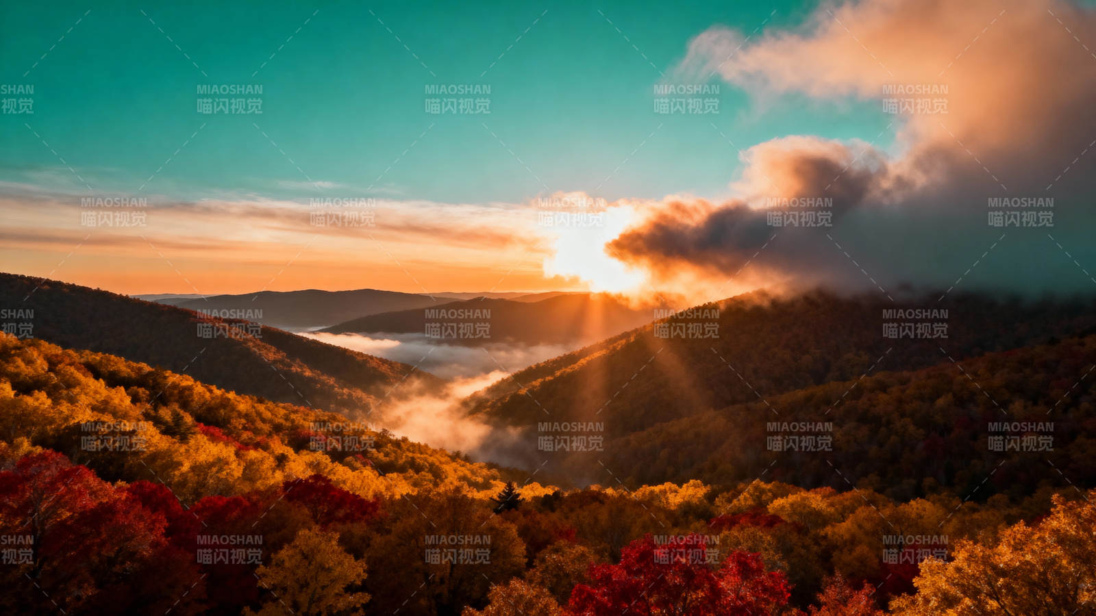 秋山日出 云海染金红图片