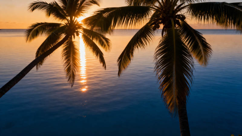 椰影夕阳 海天一色美如画图片