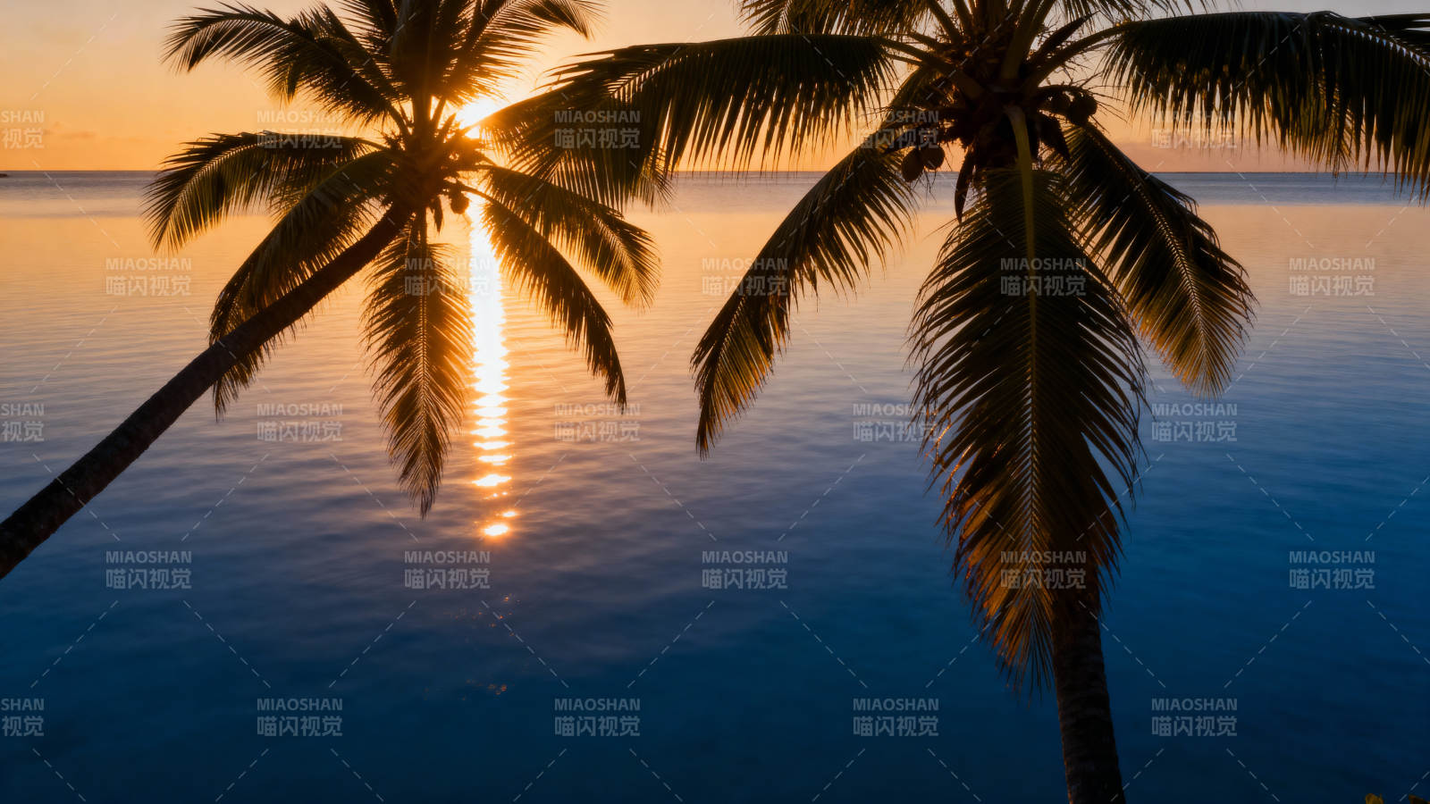 椰影夕阳 海天一色美如画图片