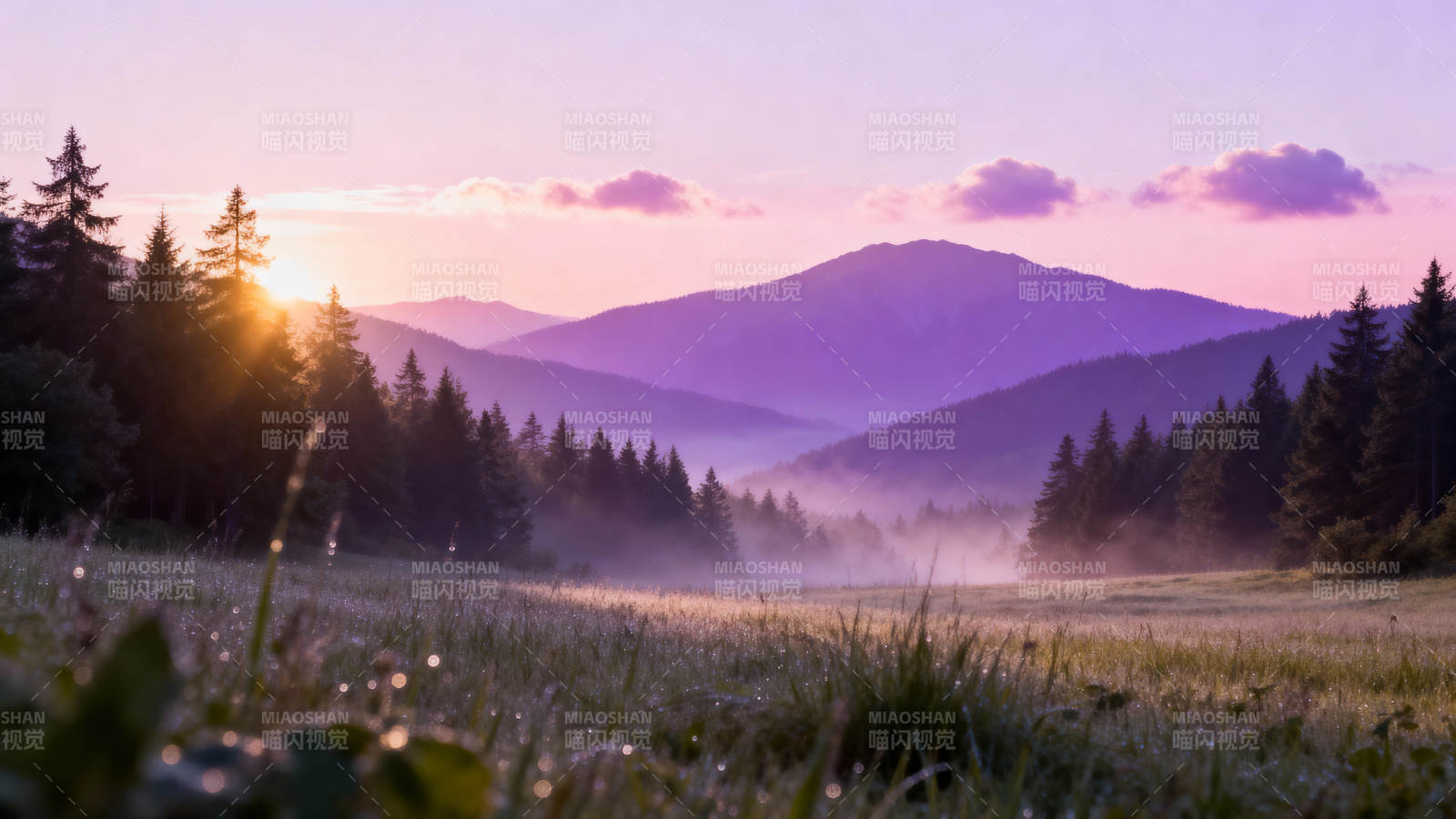 晨雾山峦 紫霞映松林图片