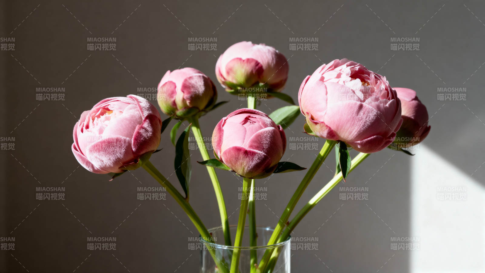 粉芍药静绽玻璃瓶中图片