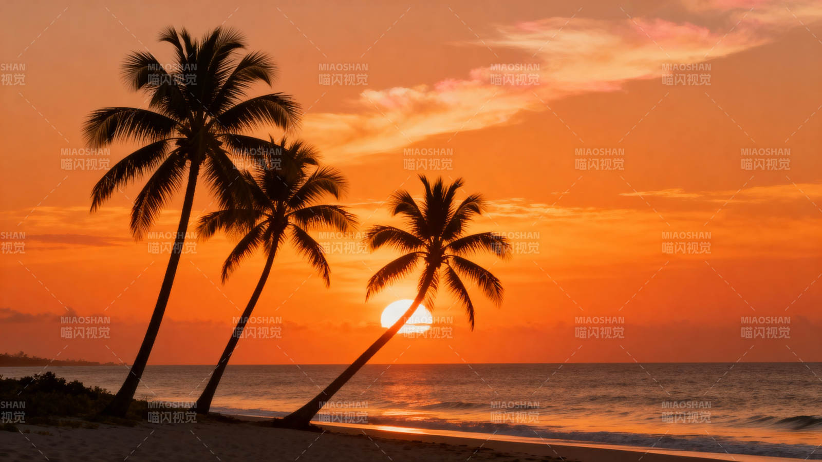 椰影夕阳 海天一色美如画图片