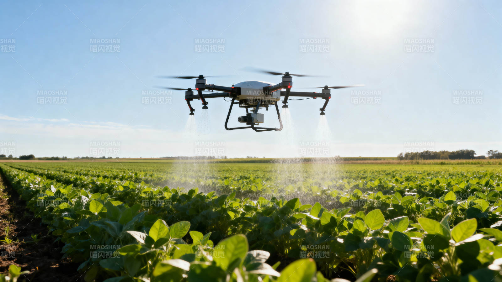 无人机农田喷洒作业中图片