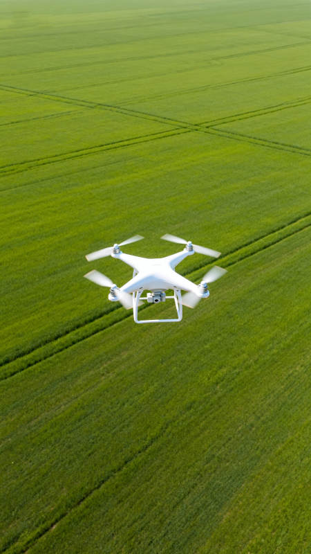 无人机航拍绿色田野图片