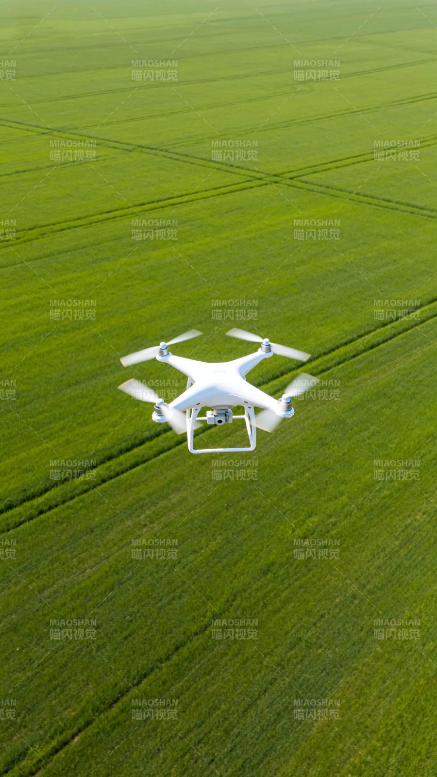 无人机航拍绿色田野图片