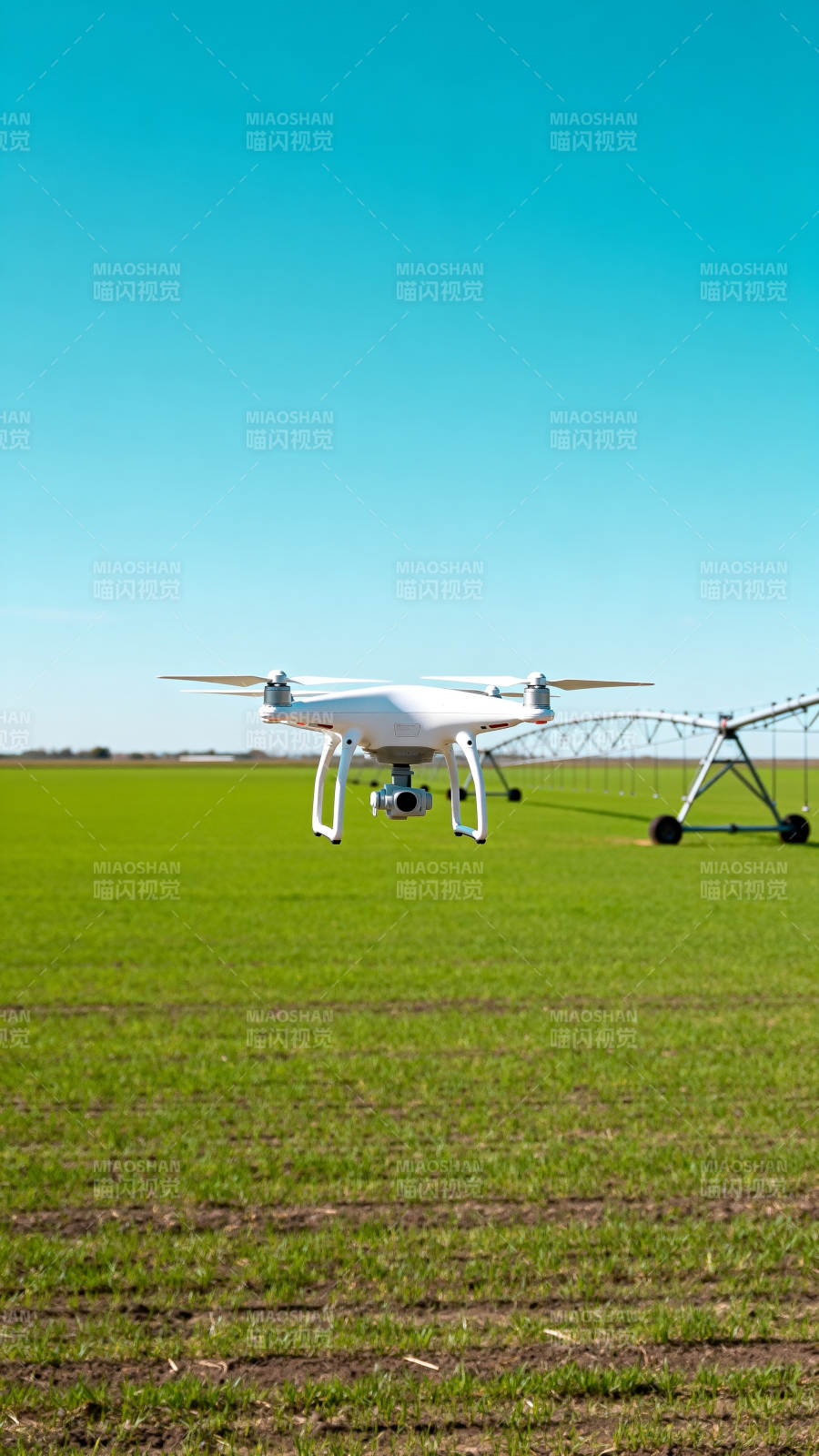 无人机巡田 智慧农业新篇图片