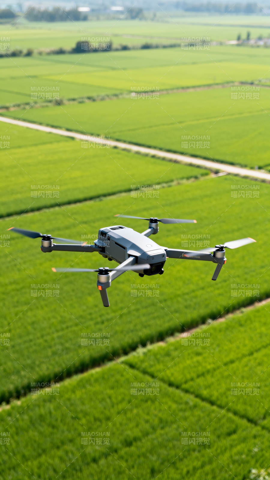无人机巡田 绿意盎然图片