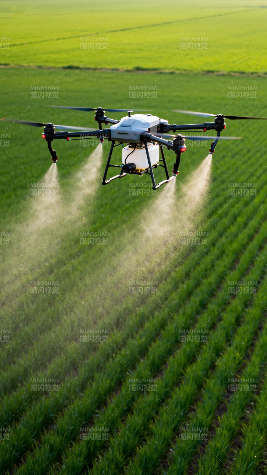 无人机喷洒农田作业中图片