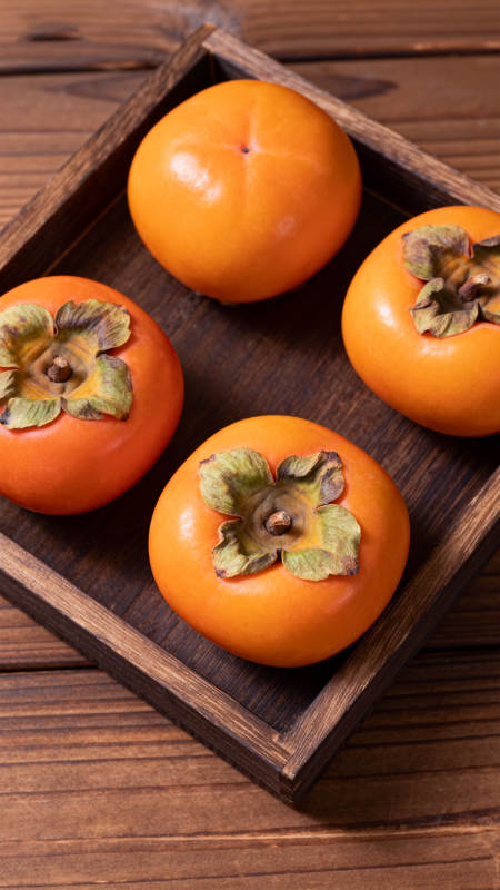 木盘盛柿 秋意正浓图片