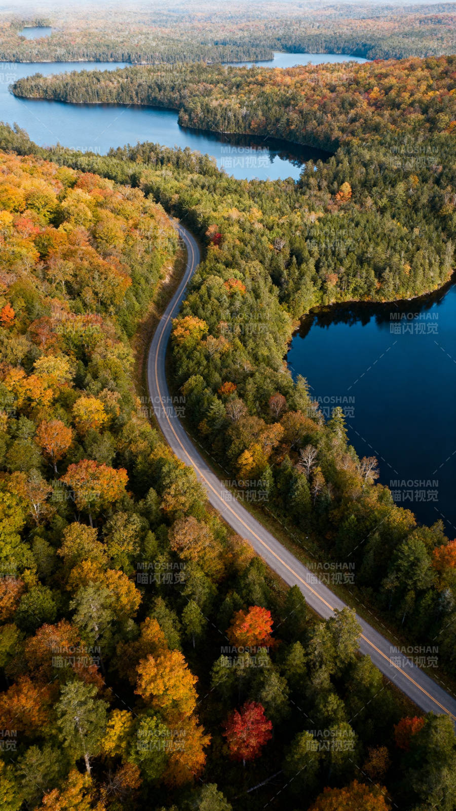 秋林湖路 蜿蜒如画图片