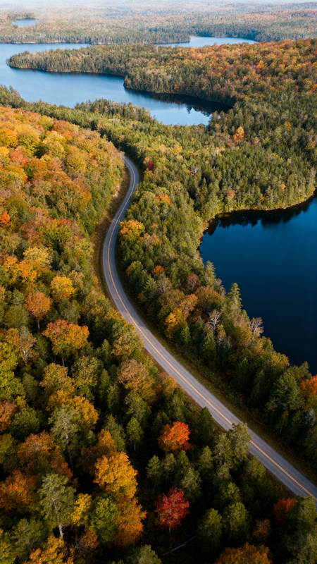 秋林湖路 蜿蜒如画图片