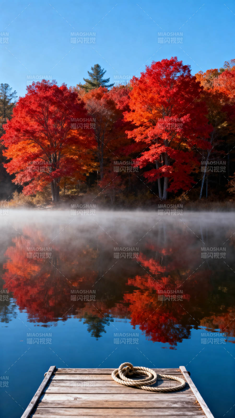 秋湖红树映雾 木栈系绳静美图片