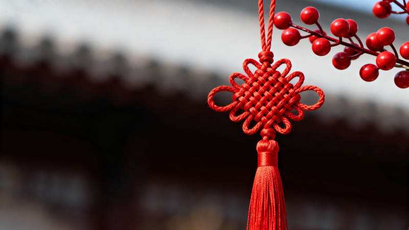 红结挂枝 年味浓情图片