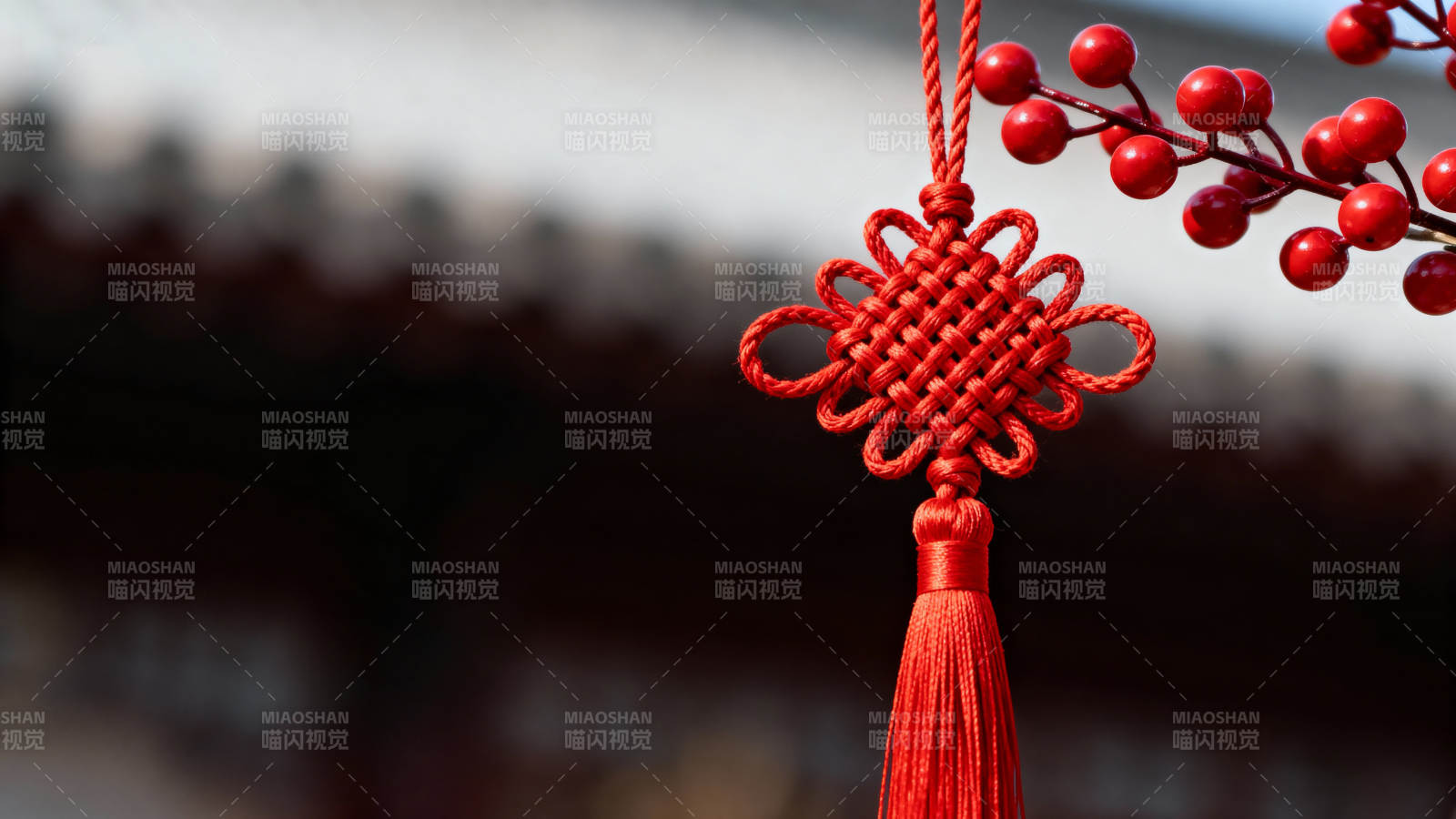 红结挂枝 年味浓情图片