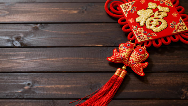 红福鱼结迎新春图片