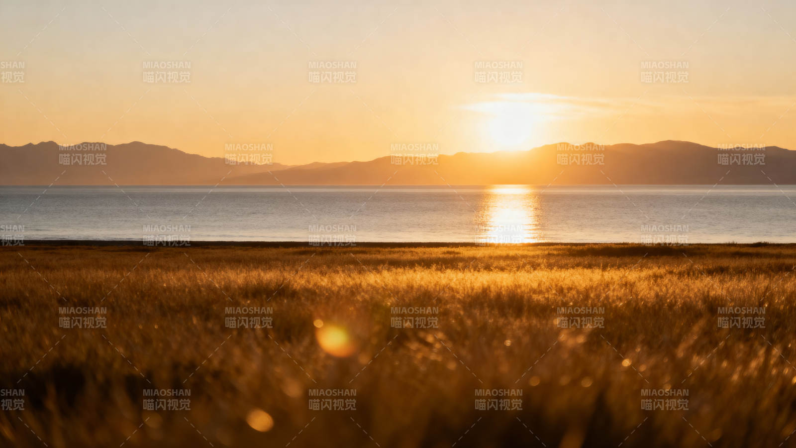 夕阳金辉洒湖岸图片