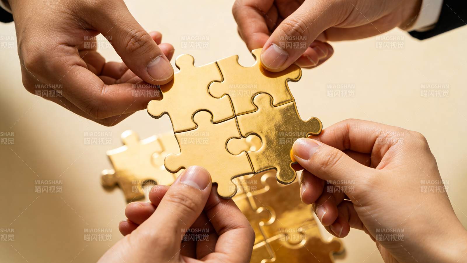 携手拼金图 合力创辉煌图片