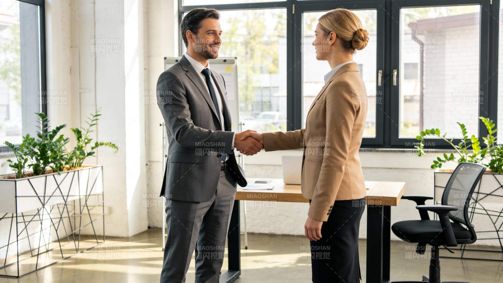 商务握手 合作达成图片