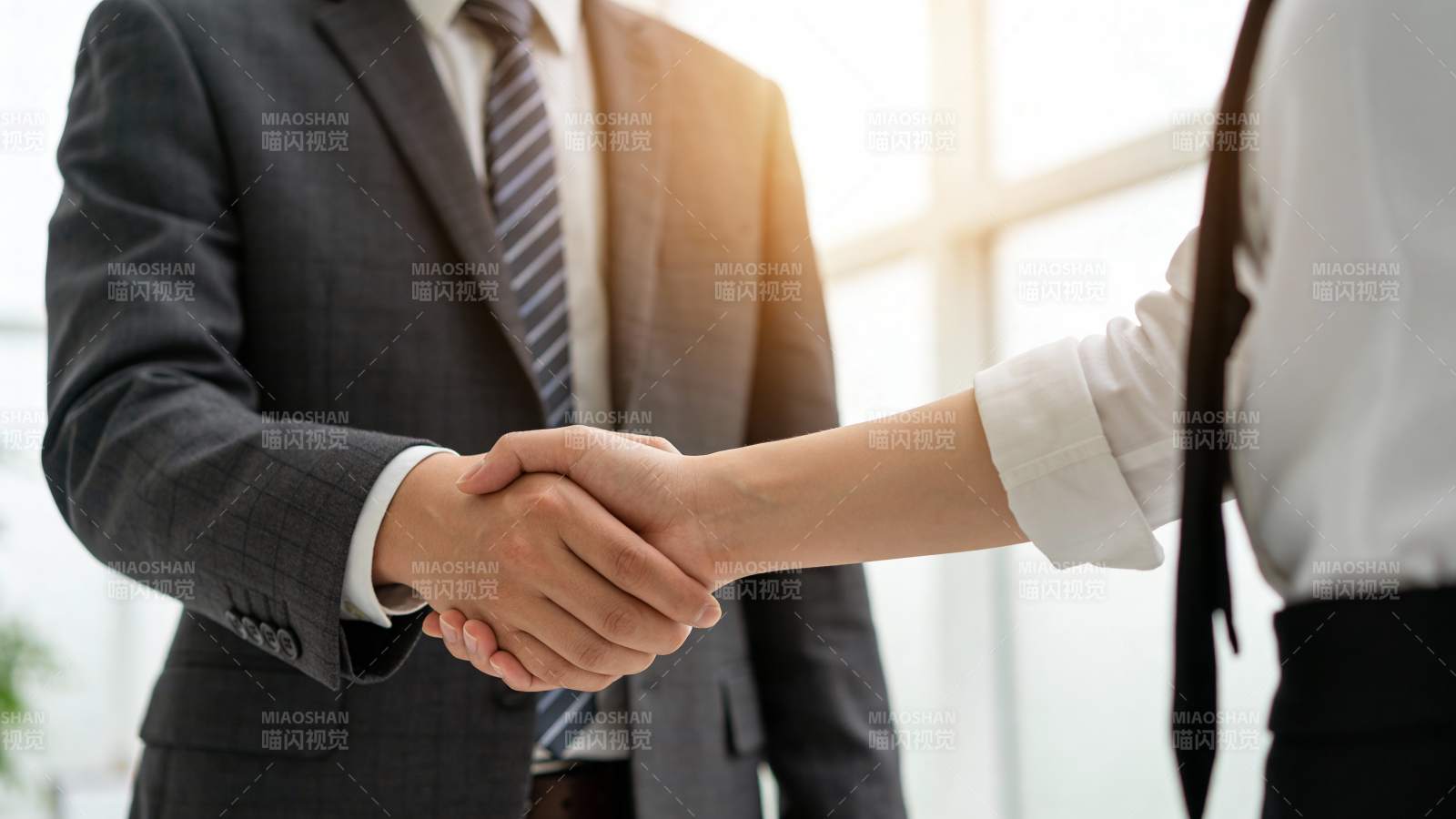 商务握手 合作达成图片
