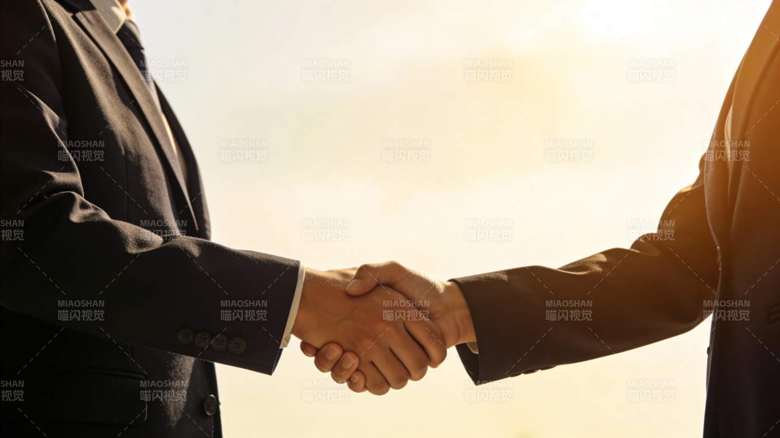 商务握手 合作达成图片