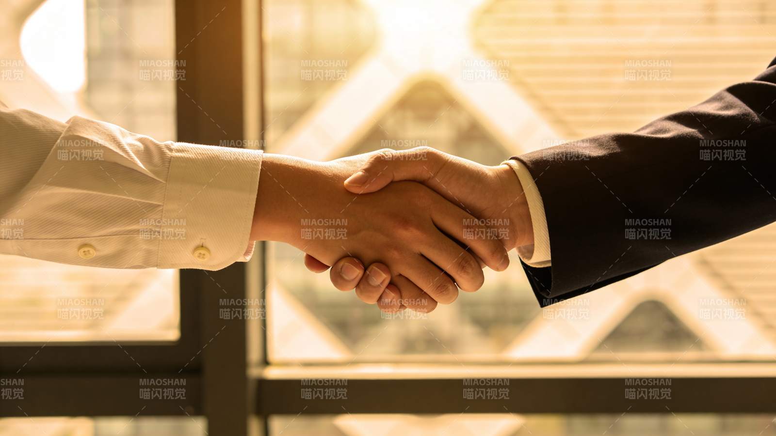 商务握手 合作共赢图片