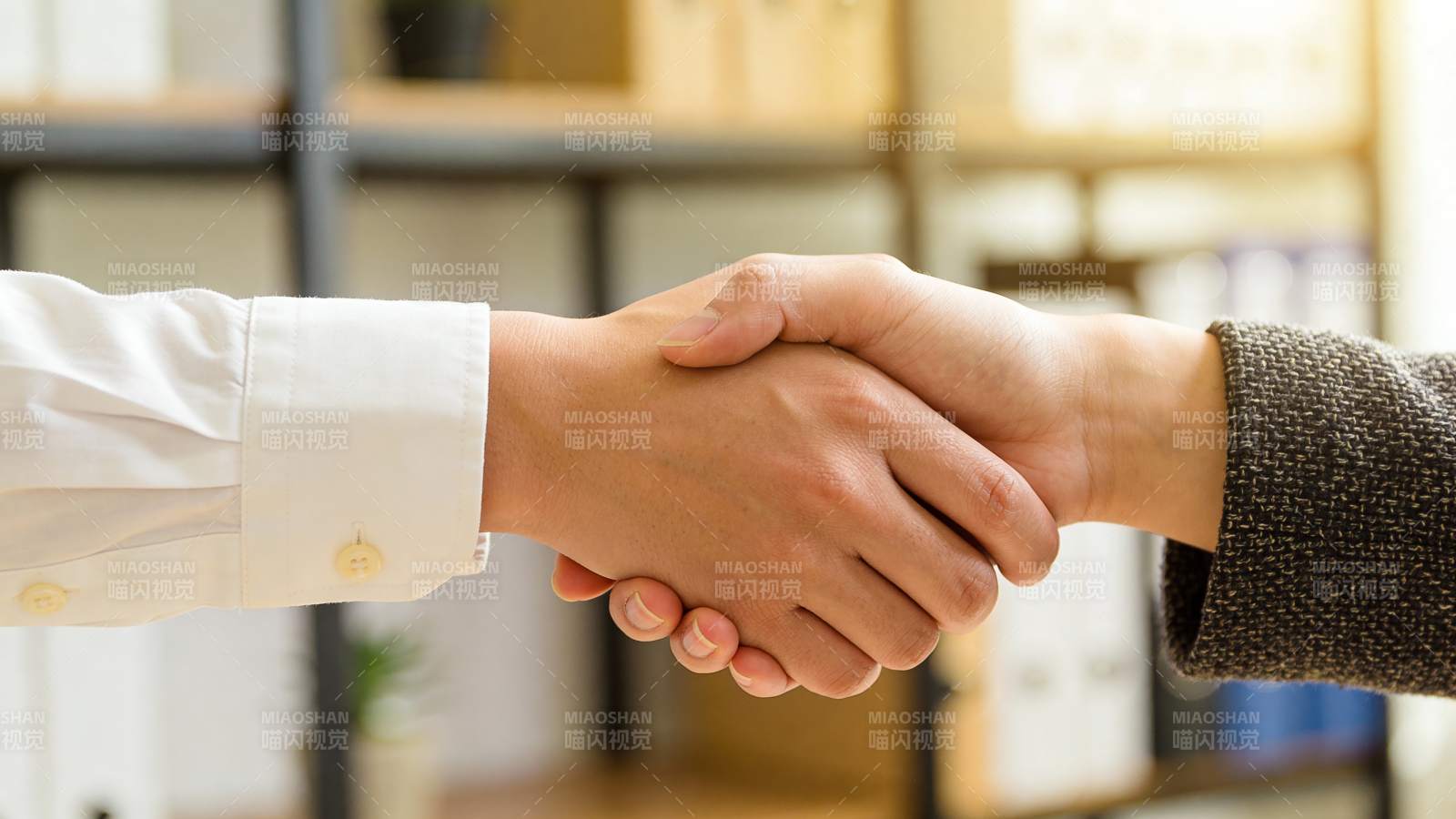 握手合作 共赢未来图片
