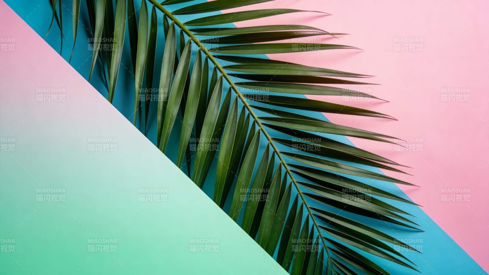 粉绿撞色棕榈叶图片