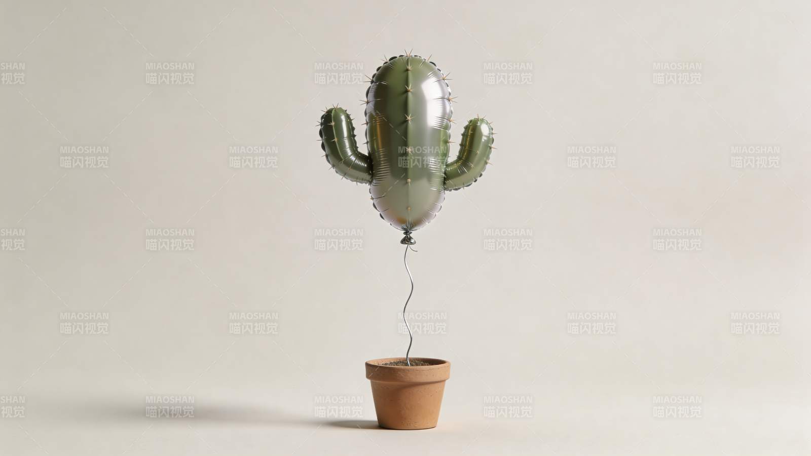 仙人掌气球盆栽图片