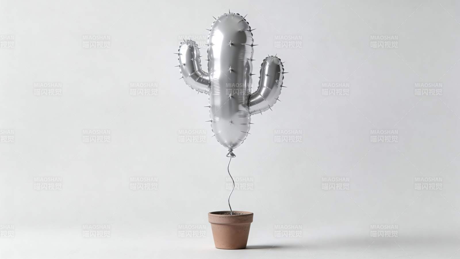 银仙人掌气球盆栽图片