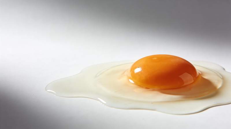 生鸡蛋黄白分离特写图片