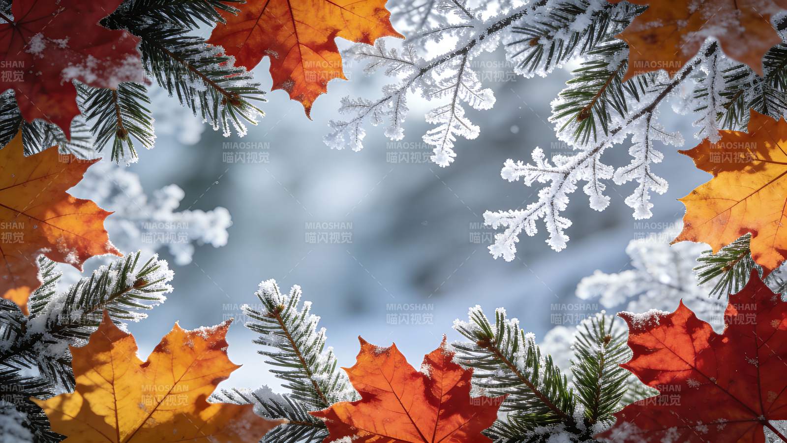 秋叶覆雪 冬意初现图片