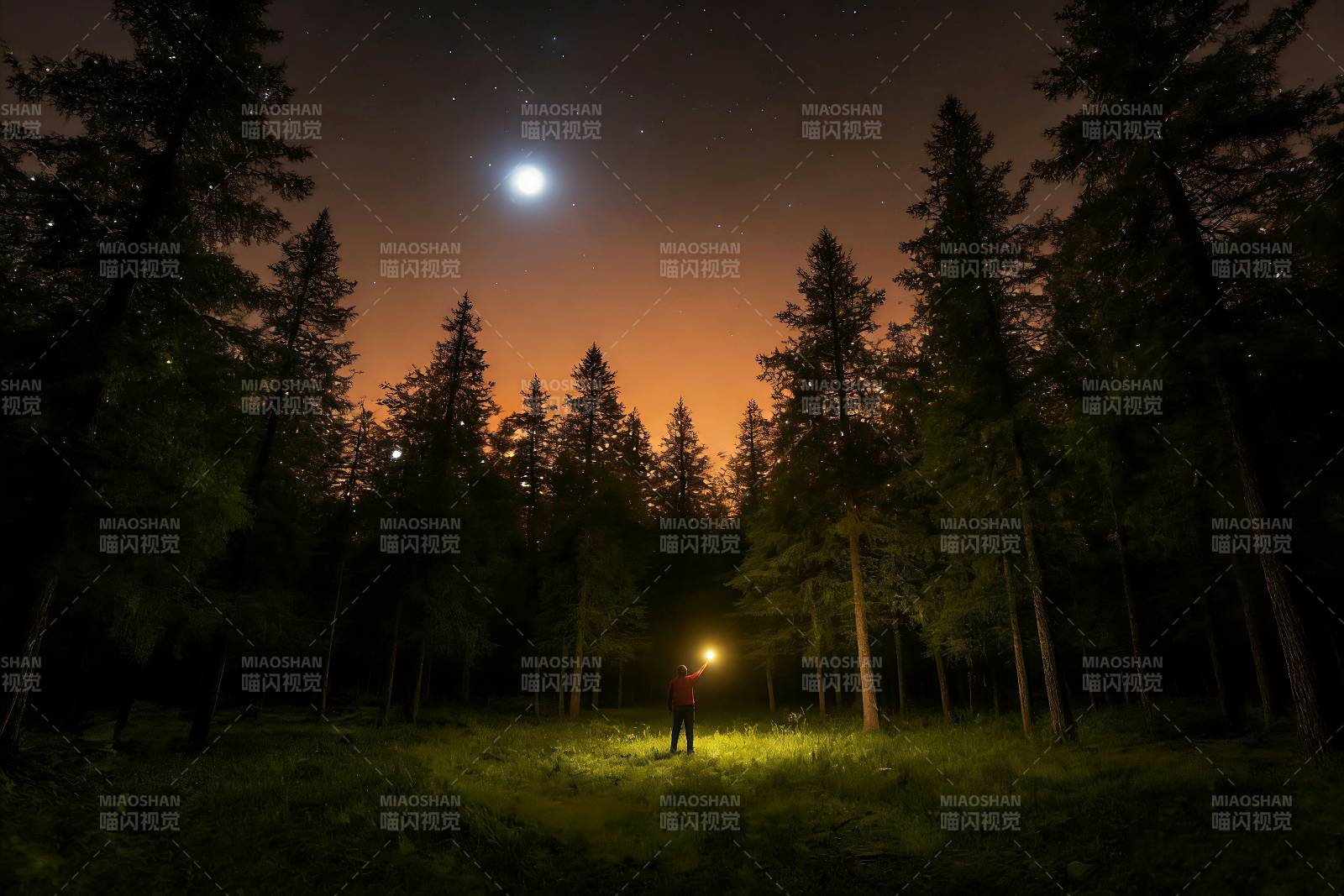月夜森林 一人持灯立图片
