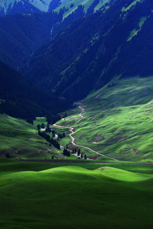 青山绿谷 蜿蜒小径入云深图片