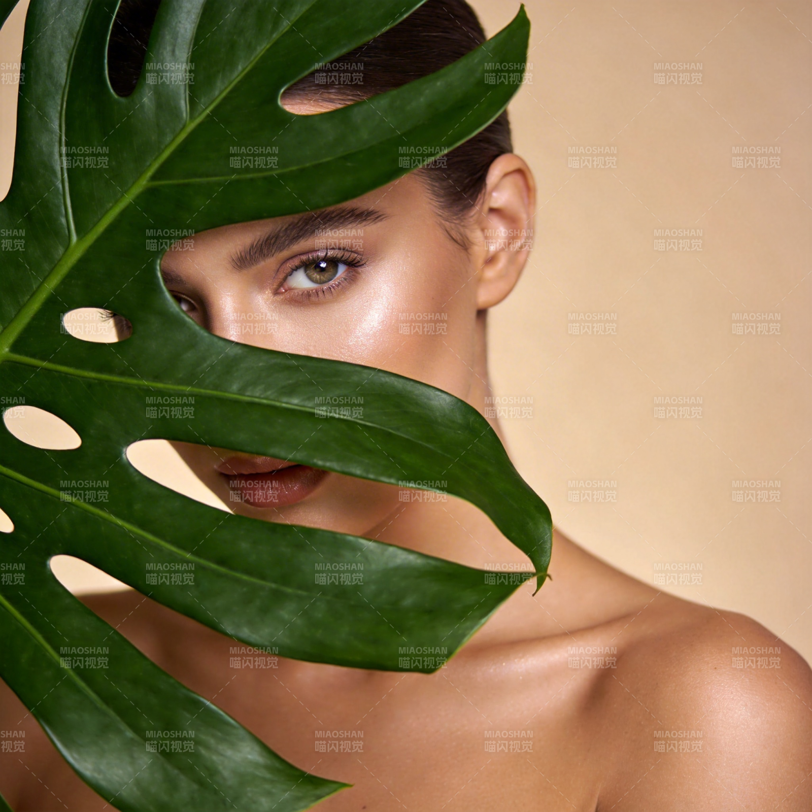 绿叶遮面 自然之美图片