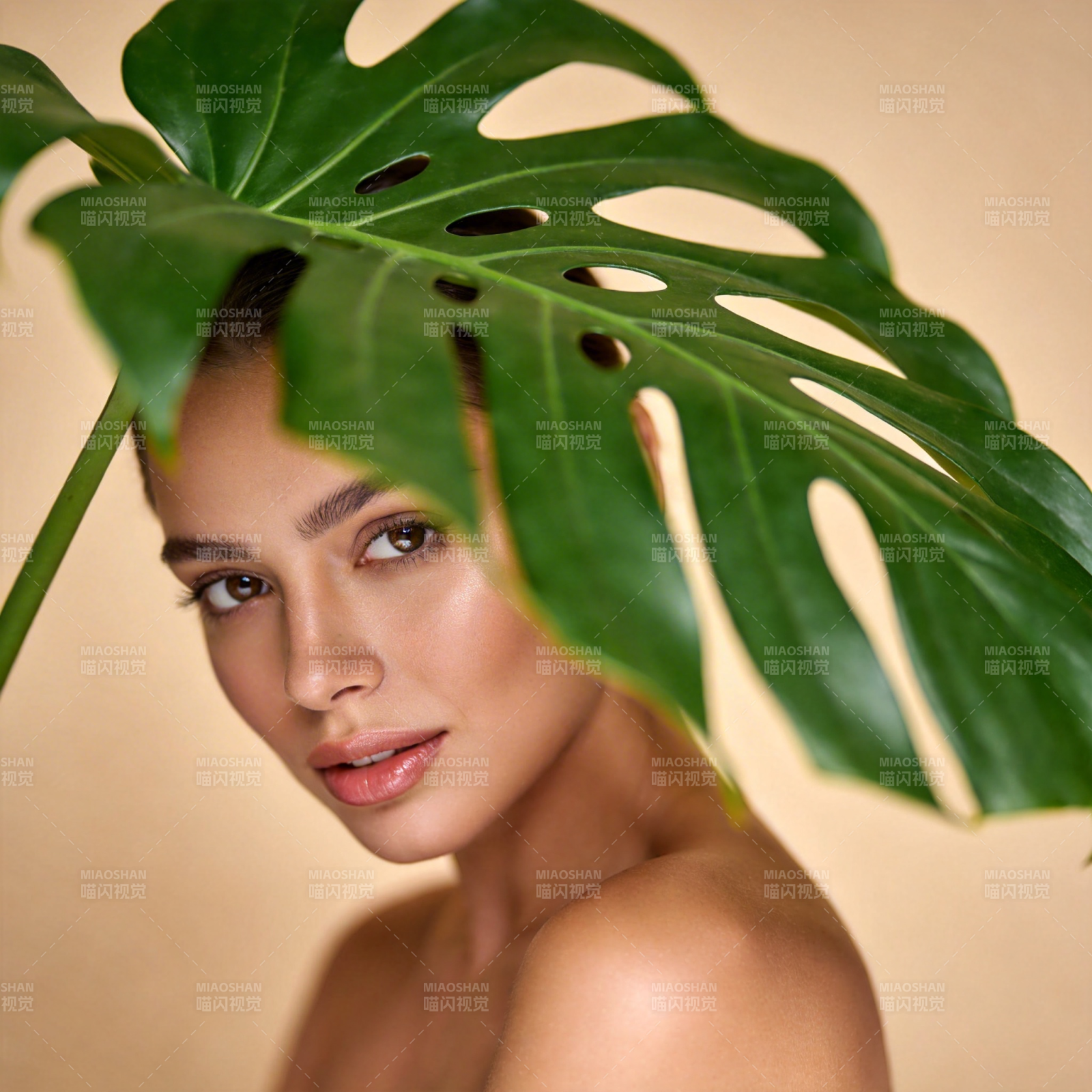 绿叶遮面 自然之美图片