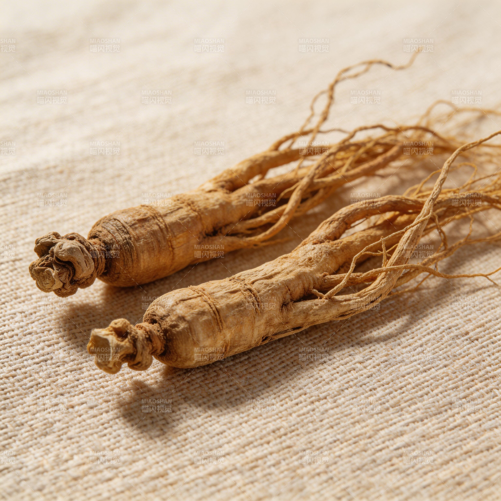 两根人参静置麻布上图片