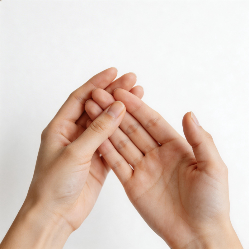 双手轻握 温柔呵护图片