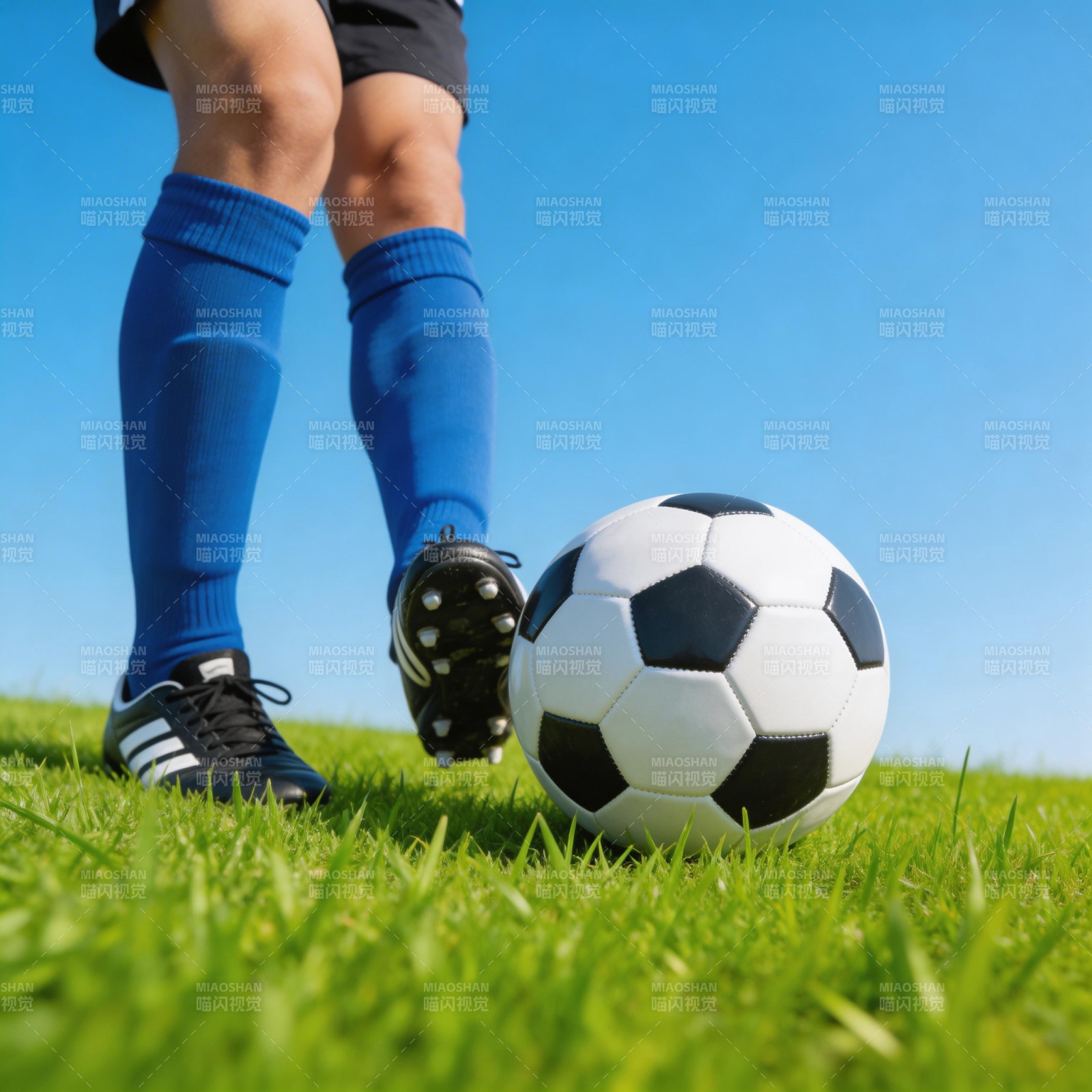 绿茵场上 足下生风图片