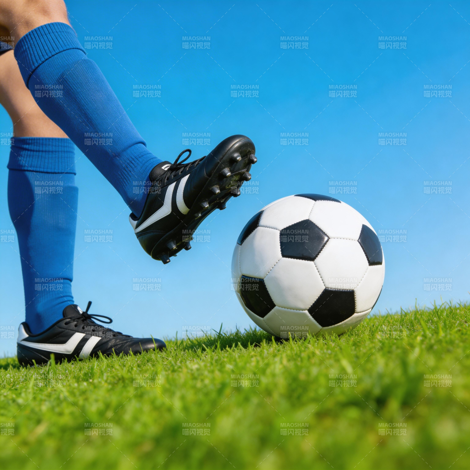 蓝袜踢球 绿茵蓝天间图片