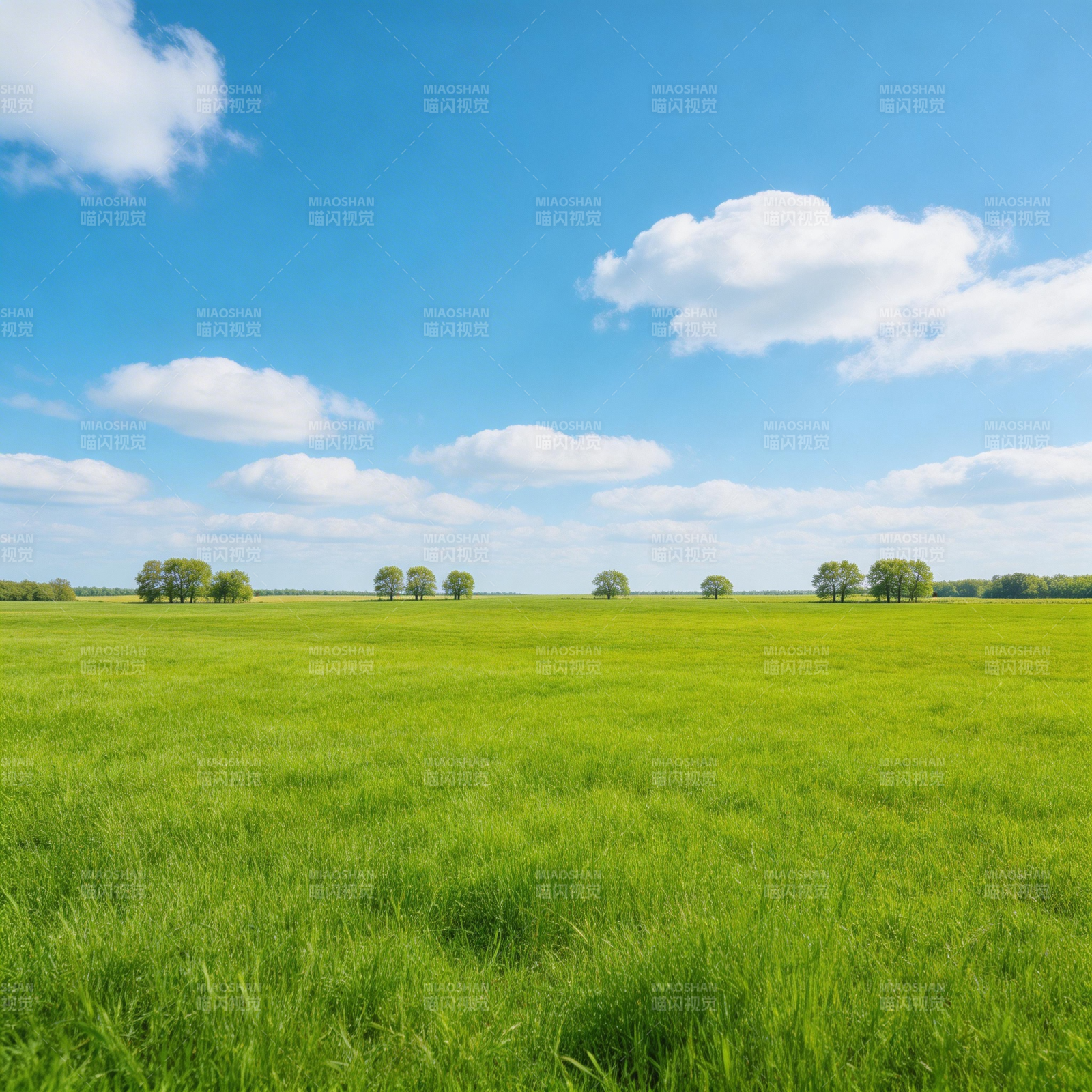蓝天绿野 云影悠悠图片