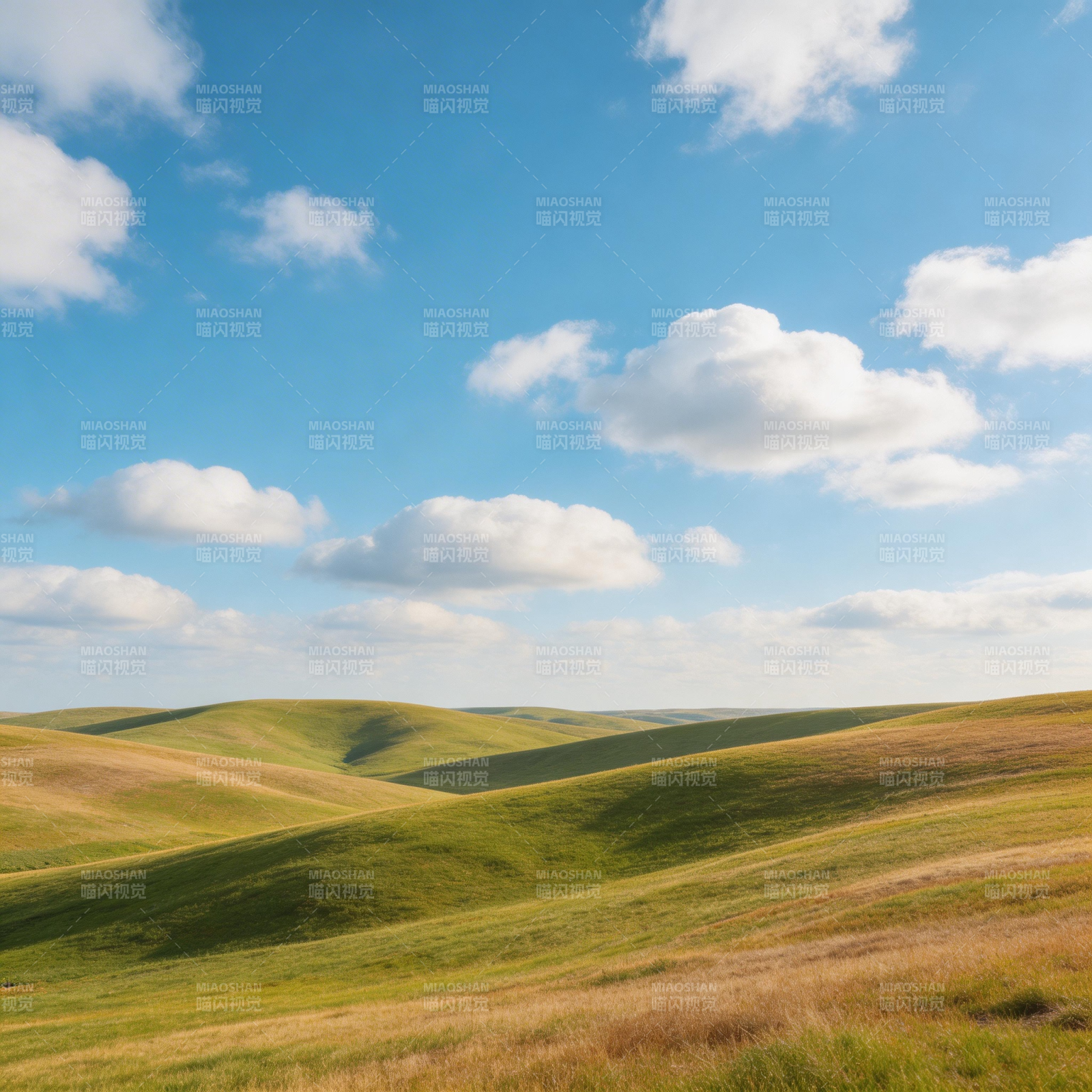 蓝天白云下 绿野起伏如诗图片