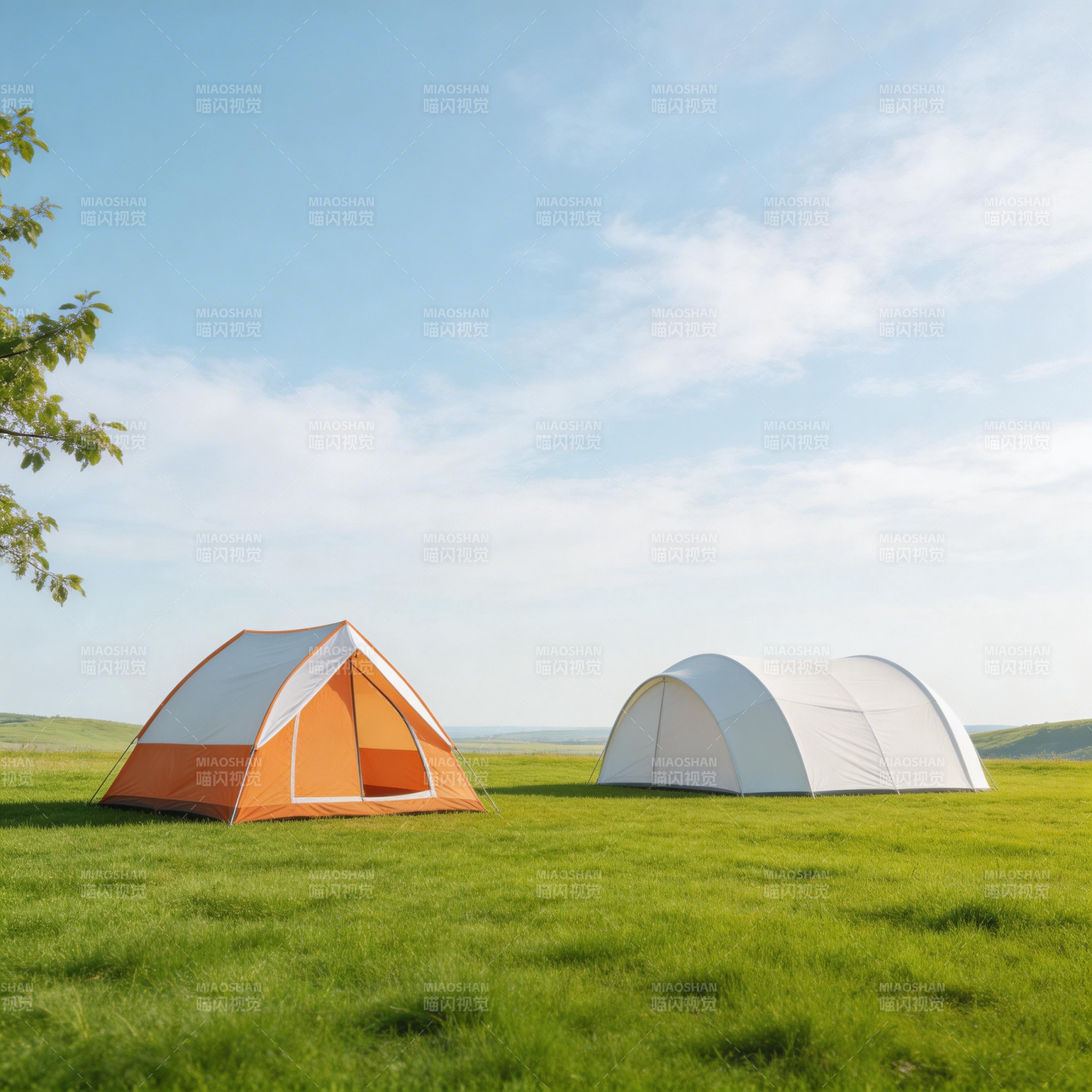 草原双帐 晴空野趣图片
